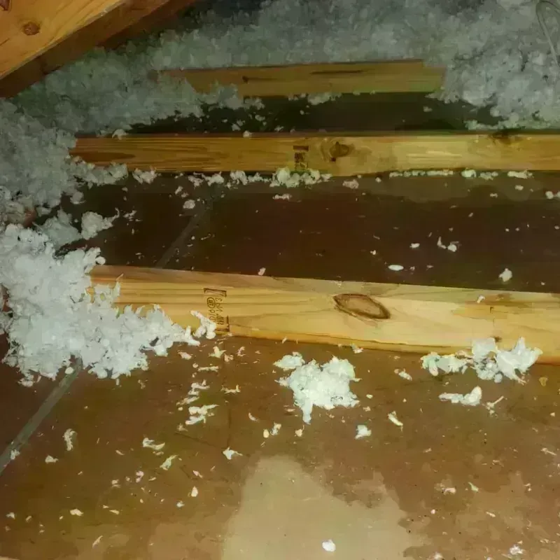 Attic Water Damage in Centerville, IN