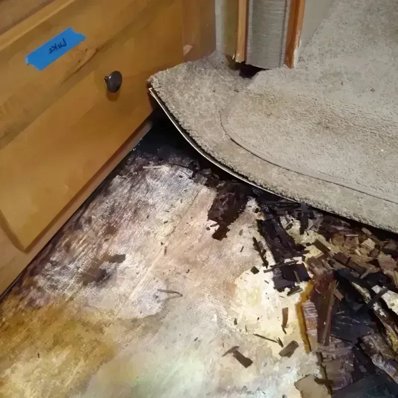 Best Wood Floor Water Damage Service in Centerville, IN